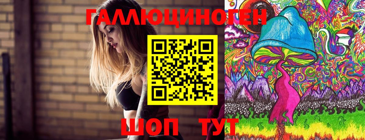 где купить   Псилоцибиновые грибы ЛСД  Сухой Лог  Вход с VPN  Галлюциногенные грибы Cubensis 